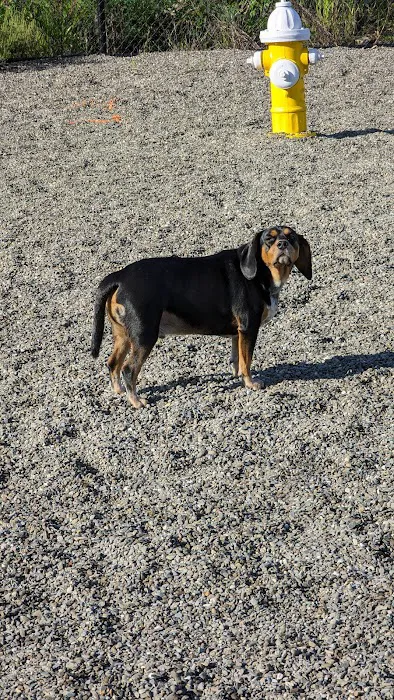 Wanaque Dog Park 2