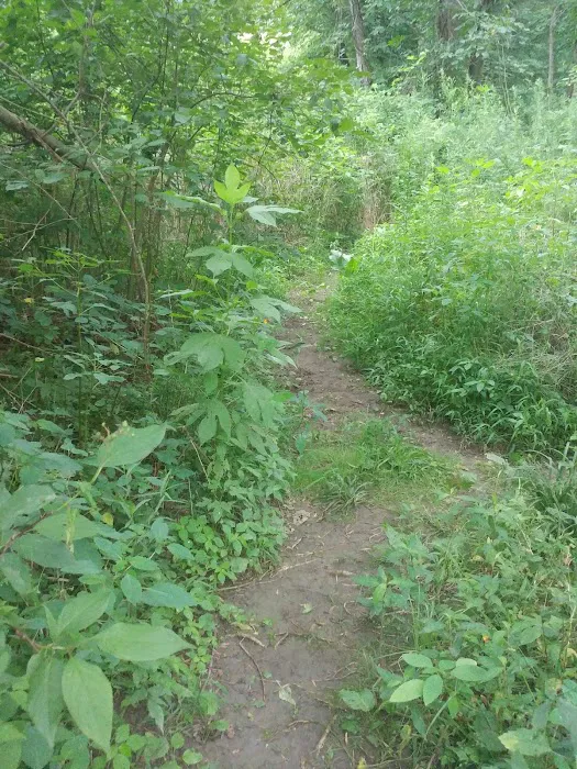 Wantage Dog Park 5
