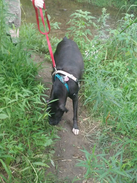 Wantage Dog Park 2