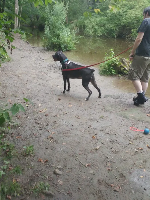 Wantage Dog Park 1