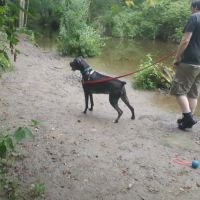 Wantage Dog Park ico