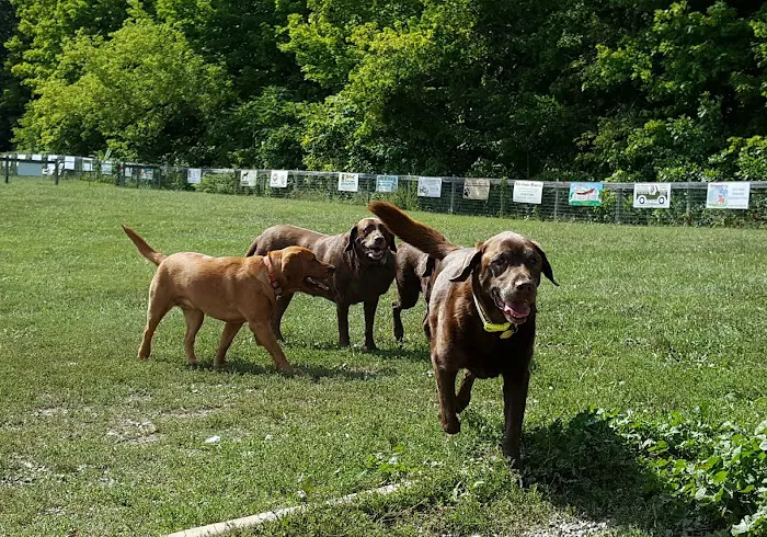 Wantage Dog Park 7