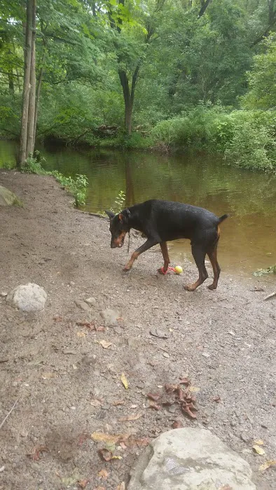Wantage Dog Park 2