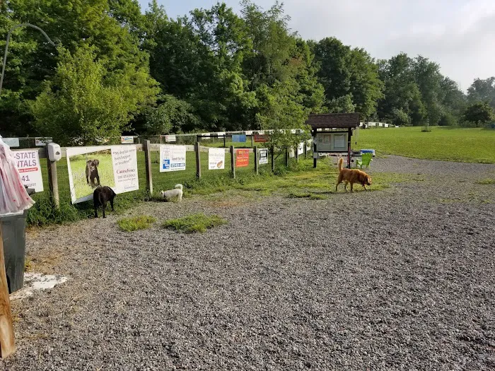 Wantage Dog Park 8