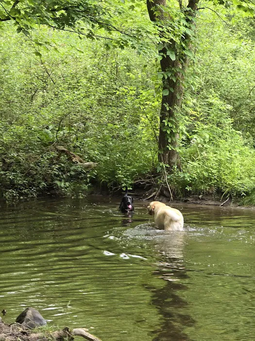 Wantage Dog Park 10