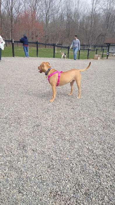 Wantage Dog Park 6