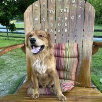 Wantage Dog Park ico