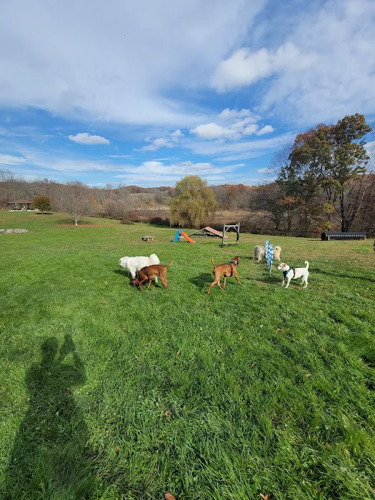 Wantage Dog Park 9