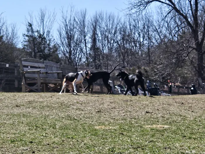 Vernon Dog Park 4