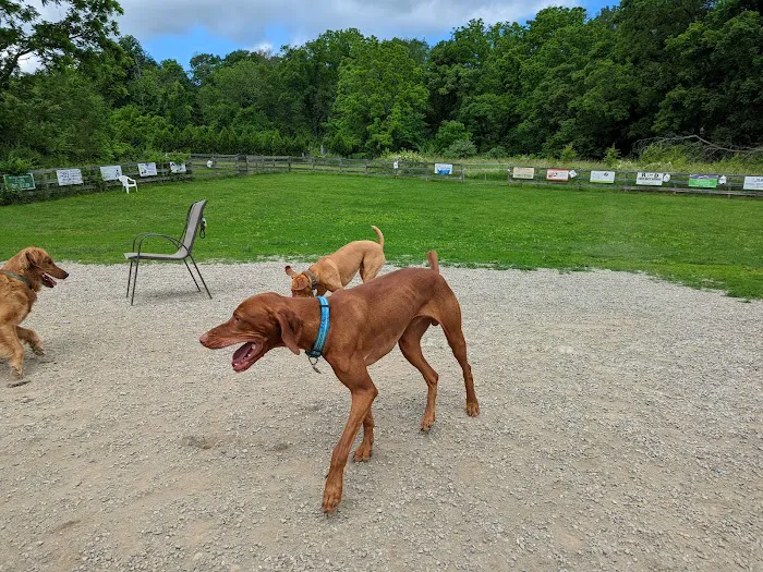 Vernon Dog Park 8