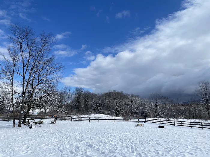 Vernon Dog Park 10