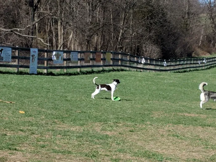 Vernon Dog Park 2