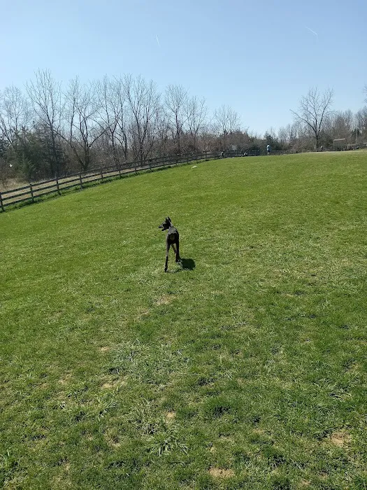 Vernon Dog Park 1