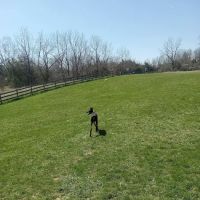 Vernon Dog Park ico