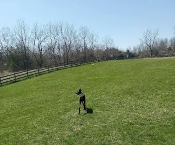Vernon Dog Park