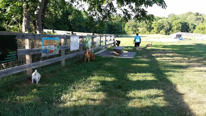Vernon Dog Park 5