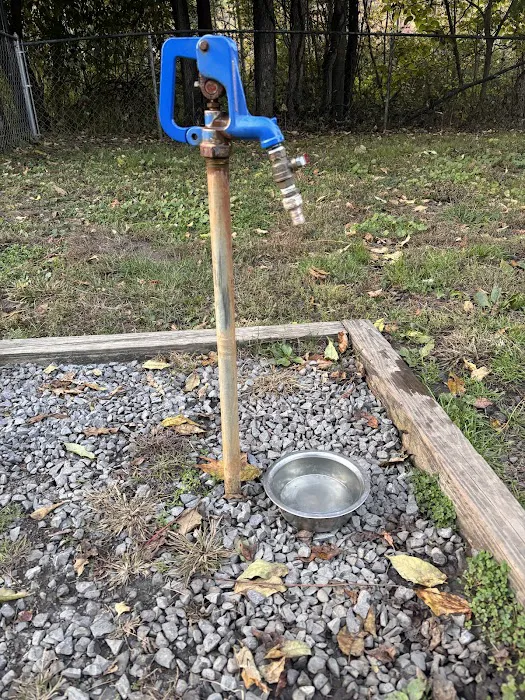 Greenwood Lake Bark Park 5
