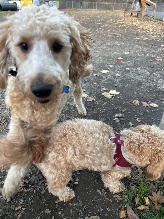 Greenwood Lake Bark Park 8
