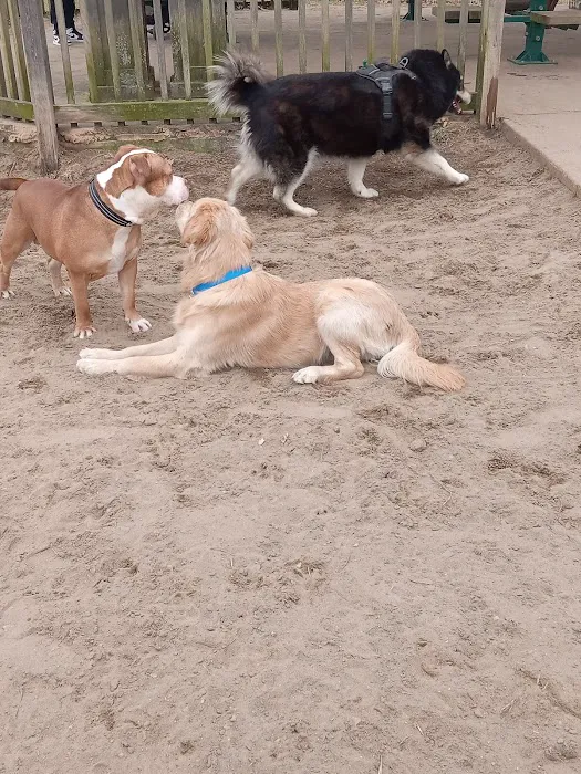 Pennington Park Dog Park 9