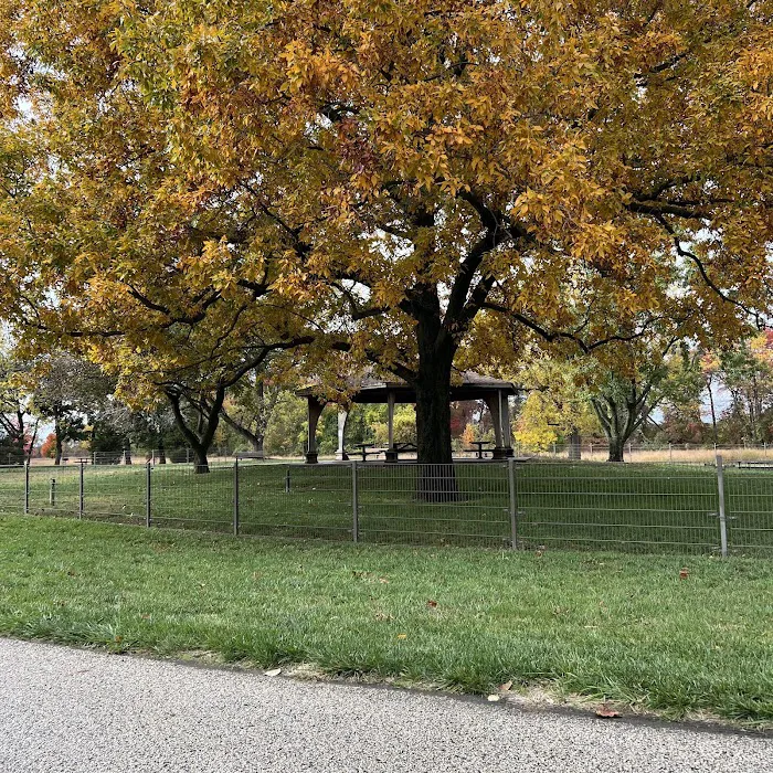 Pennington Park Dog Park 8