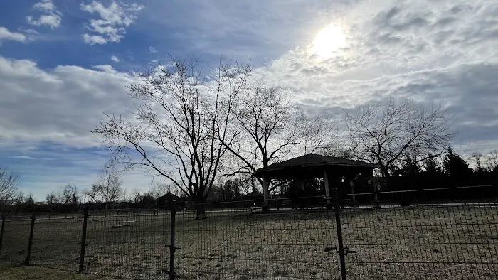 Pennington Park Dog Park 4