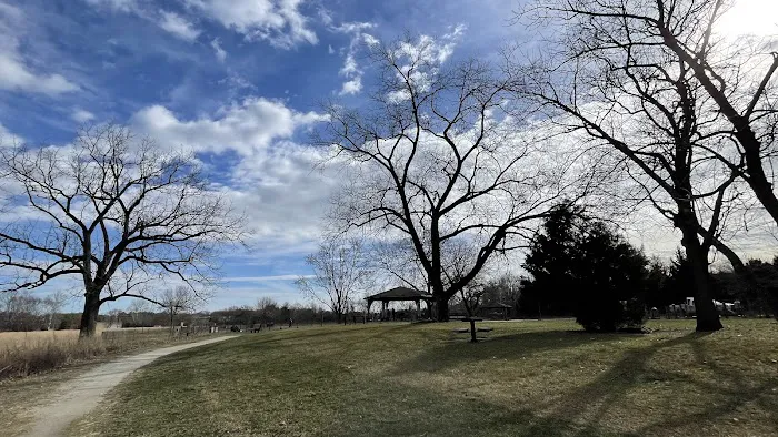 Pennington Park Dog Park 7