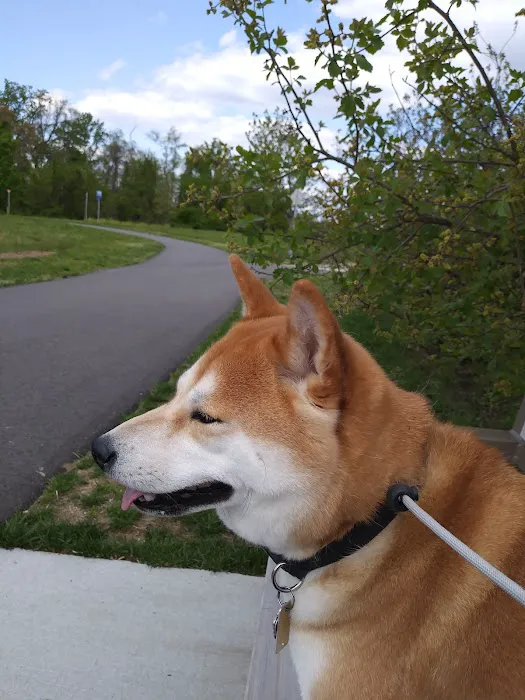 Pennington Park Dog Park 1