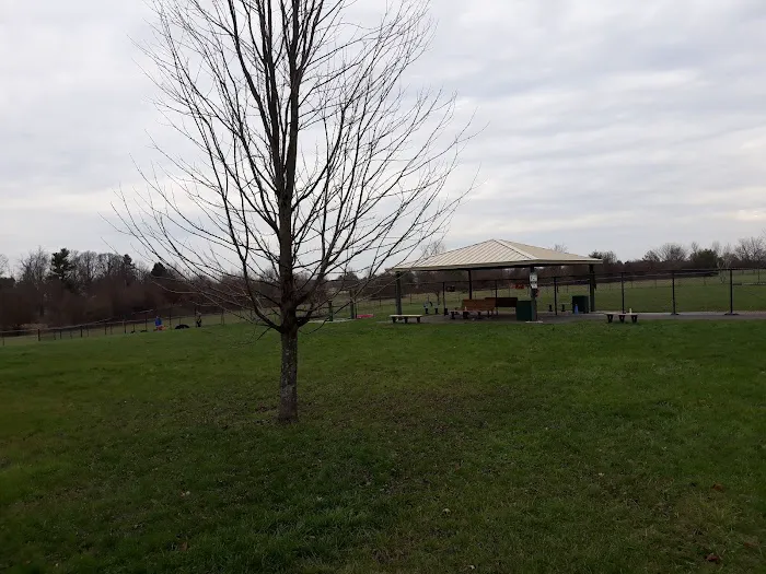 Warminster Dog Park 10