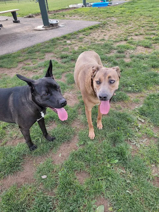Warminster Dog Park 5