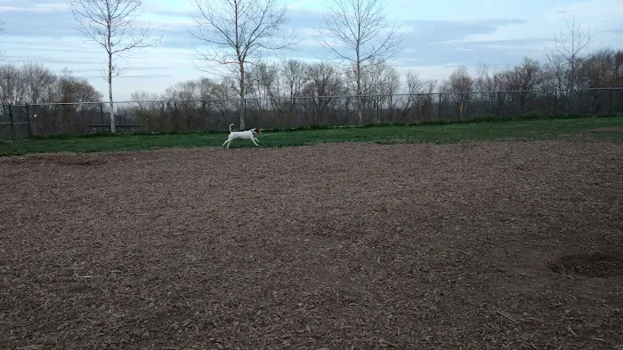 Kennedy Dells Dog Park 4