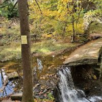 Kennedy Dells Dog Park ico