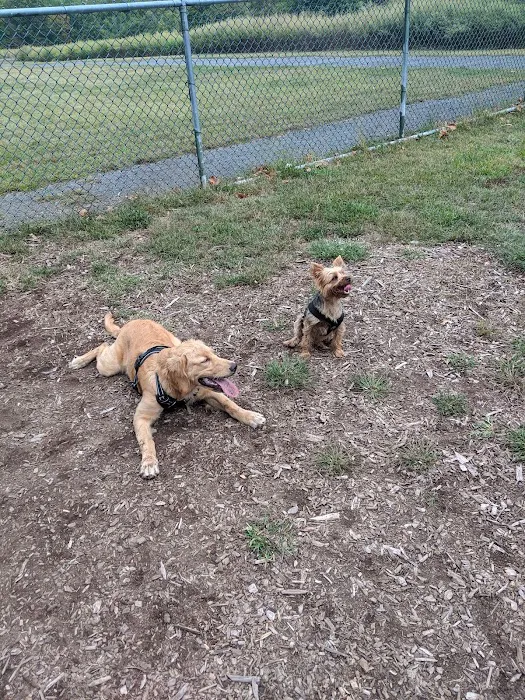 Kennedy Dells Dog Park 9