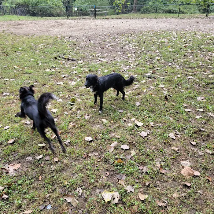 Black Rock Dog Park 9