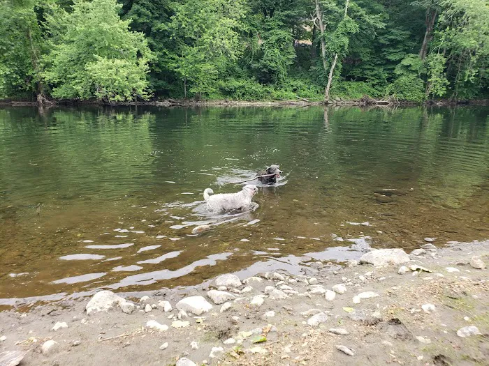 Black Rock Dog Park 10