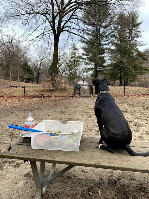 Black Rock Dog Park 3