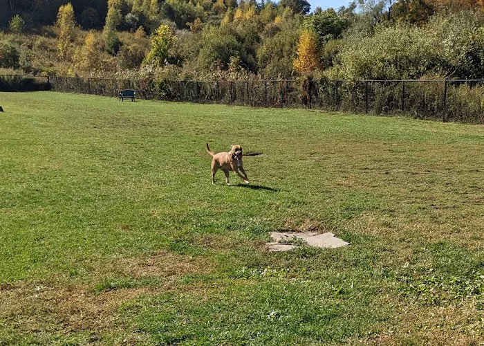 Danbury Dog Park 1