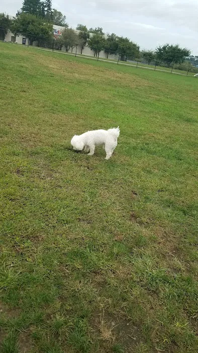 Danbury Dog Park 2