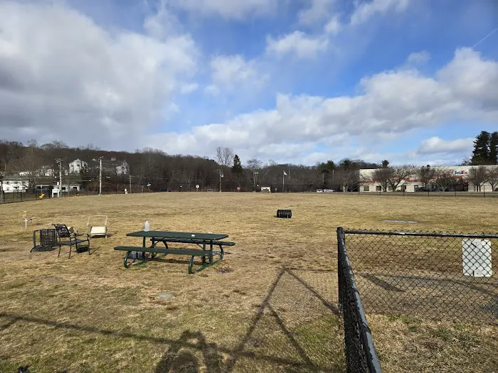 Danbury Dog Park 6