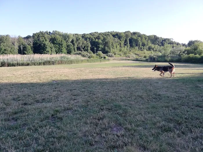 Danbury Dog Park 7