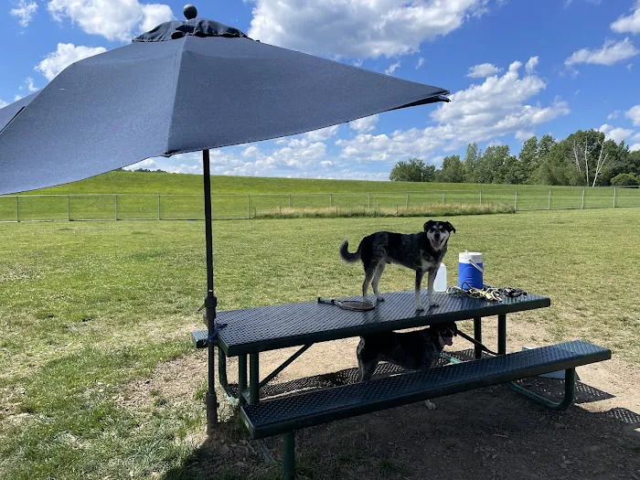 Danbury Dog Park @ Margerie Reservoir 4
