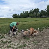 Danbury Dog Park @ Margerie Reservoir ico