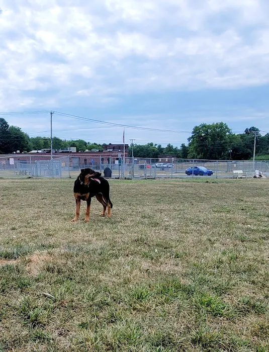 Danbury Dog Park @ Margerie Reservoir 2