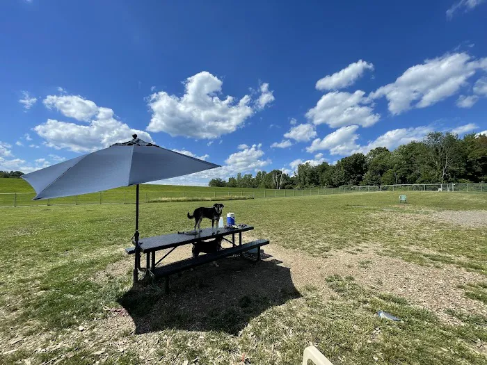 Danbury Dog Park @ Margerie Reservoir 7