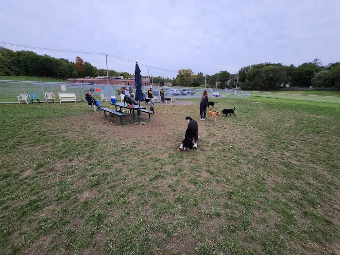 Danbury Dog Park @ Margerie Reservoir 6