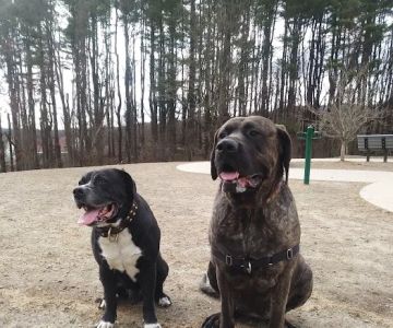 Newtown Park & Bark
