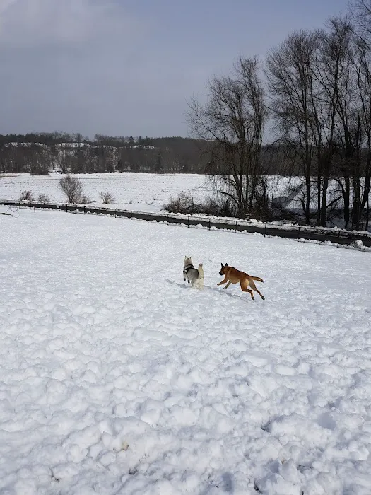 Newtown Park & Bark 2