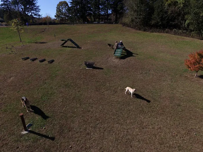 Newtown Park & Bark 10