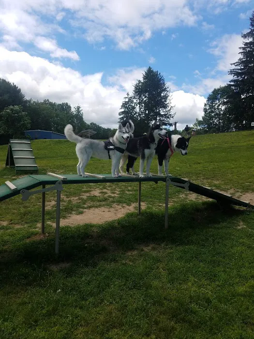 Newtown Park & Bark 8