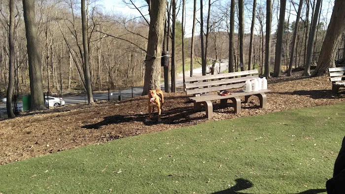 Sycamore Bark Park 6
