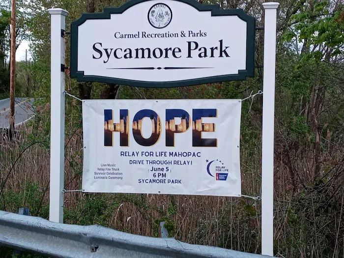 Sycamore Bark Park 3